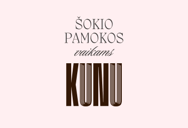 Šokio pamokos mažyliams (3 m.)